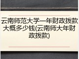 云南师范大学一年财政拨款大概多少钱(云南师大年财政拨款)