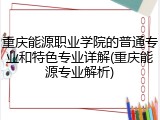 重庆能源职业学院的普通专业和特色专业详解(重庆能源专业解析)