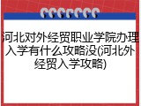 河北对外经贸职业学院办理入学有什么攻略没(河北外经贸入学攻略)