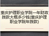 重庆护理职业学院一年财政拨款大概多少钱(重庆护理职业学院年拨款)