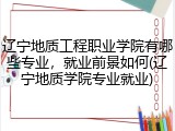 辽宁地质工程职业学院有哪些专业，就业前景如何(辽宁地质学院专业就业)