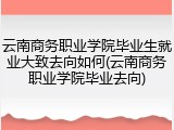 云南商务职业学院毕业生就业大致去向如何(云南商务职业学院毕业去向)