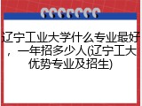 辽宁工业大学什么专业最好，一年招多少人(辽宁工大优势专业及招生)