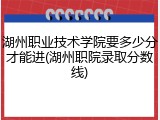 湖州职业技术学院要多少分才能进(湖州职院录取分数线)