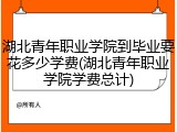 湖北青年职业学院到毕业要花多少学费(湖北青年职业学院学费总计)