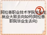 阿拉善职业技术学院毕业生就业大致去向如何(阿拉善职院毕业生去向)