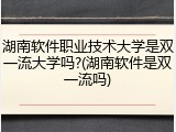 湖南软件职业技术大学是双一流大学吗?(湖南软件是双一流吗)