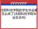 沈阳科技学院的学生毕业都怎么样了(沈阳科技学院毕业生去向)