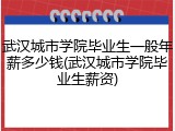 武汉城市学院毕业生一般年薪多少钱(武汉城市学院毕业生薪资)