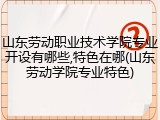 山东劳动职业技术学院专业开设有哪些,特色在哪(山东劳动学院专业特色)