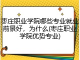 枣庄职业学院哪些专业就业前景好，为什么(枣庄职业学院优势专业)