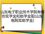 山东电子职业技术学院有哪些奖学金和助学金呢(山东电院奖助学金)