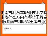 湖南吉利汽车职业技术学院主攻什么方向有哪些王牌专业(湖南吉利职院王牌专业)