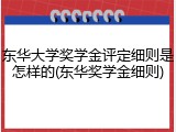 东华大学奖学金评定细则是怎样的(东华奖学金细则)