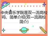 中央音乐学院是双一流高校吗，简单介绍(双一流高校简介)
