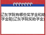 辽东学院有哪些奖学金和助学金呢(辽东学院奖助学金)