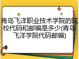 青岛飞洋职业技术学院的院校代码和邮编是多少(青岛飞洋学院代码邮编)