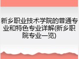新乡职业技术学院的普通专业和特色专业详解(新乡职院专业一览)