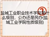 盐城工业职业技术学院是什么级别，公办还是民办(盐城工业学院性质级别)