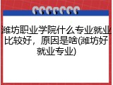 潍坊职业学院什么专业就业比较好，原因是啥(潍坊好就业专业)