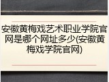 安徽黄梅戏艺术职业学院官网是哪个网址多少(安徽黄梅戏学院官网)
