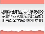 湖南冶金职业技术学院哪个专业毕业就业前景比较好(湖南冶金学院好就业专业)