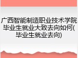 广西智能制造职业技术学院毕业生就业大致去向如何(毕业生就业去向)