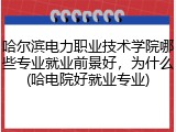 哈尔滨电力职业技术学院哪些专业就业前景好，为什么(哈电院好就业专业)