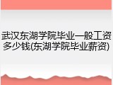 武汉东湖学院毕业一般工资多少钱(东湖学院毕业薪资)