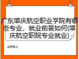 广东肇庆航空职业学院有哪些专业，就业前景如何(肇庆航空职院专业就业)