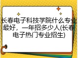 长春电子科技学院什么专业最好，一年招多少人(长春电子热门专业招生)
