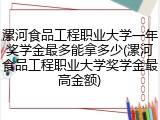 漯河食品工程职业大学一年奖学金最多能拿多少(漯河食品工程职业大学奖学金最高金额)