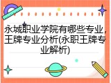 永城职业学院有哪些专业，王牌专业分析(永职王牌专业解析)