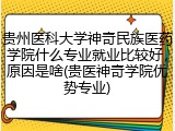 贵州医科大学神奇民族医药学院什么专业就业比较好，原因是啥(贵医神奇学院优势专业)