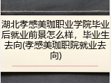 湖北孝感美珈职业学院毕业后就业前景怎么样，毕业生去向(孝感美珈职院就业去向)