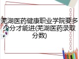 芜湖医药健康职业学院要多少分才能进(芜湖医药录取分数)