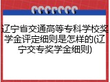 辽宁省交通高等专科学校奖学金评定细则是怎样的(辽宁交专奖学金细则)