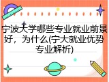 宁波大学哪些专业就业前景好，为什么(宁大就业优势专业解析)