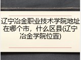 辽宁冶金职业技术学院地址在哪个市，什么区县(辽宁冶金学院位置)