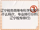 辽宁税务高等专科学校属于什么档次，专业排行分析(辽宁税专排行)