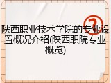 陕西职业技术学院的专业设置概况介绍(陕西职院专业概览)