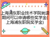 上海浦东职业技术学院就读期间可以申请哪些奖学金(上海浦东职院奖学金)