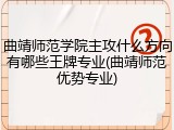曲靖师范学院主攻什么方向有哪些王牌专业(曲靖师范优势专业)