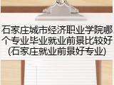 石家庄城市经济职业学院哪个专业毕业就业前景比较好(石家庄就业前景好专业)