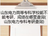 山东电力高等专科学校能不能考研，成绩在哪里查询(山东电力专科考研查询)