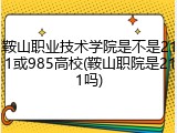 鞍山职业技术学院是不是211或985高校(鞍山职院是211吗)
