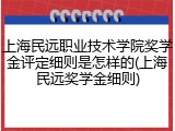 上海民远职业技术学院奖学金评定细则是怎样的(上海民远奖学金细则)