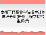 贵州工程职业学院招生计划详细分析(贵州工程学院招生解析)