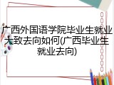 广西外国语学院毕业生就业大致去向如何(广西毕业生就业去向)
