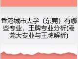 香港城市大学（东莞）有哪些专业，王牌专业分析(港莞大专业与王牌解析)